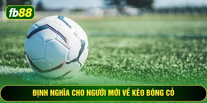 Định nghĩa cho người mới về kèo bóng cỏ