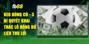 Kèo Bóng Cỏ - 3 Bí Quyết Khai Thác Lỗ Hổng Dữ Liệu Thu Lợi