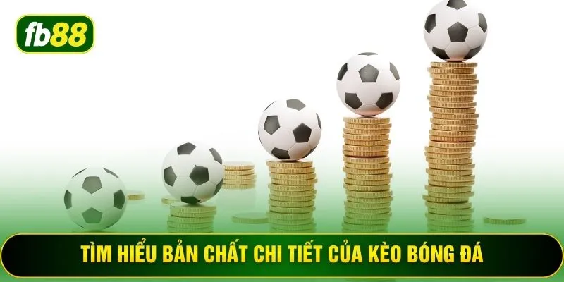Tìm hiểu bản chất chi tiết của kèo bóng đá